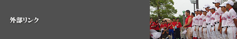 外部リンク||学校法人タイケン学園　日本ウェルネススポーツ専門学校